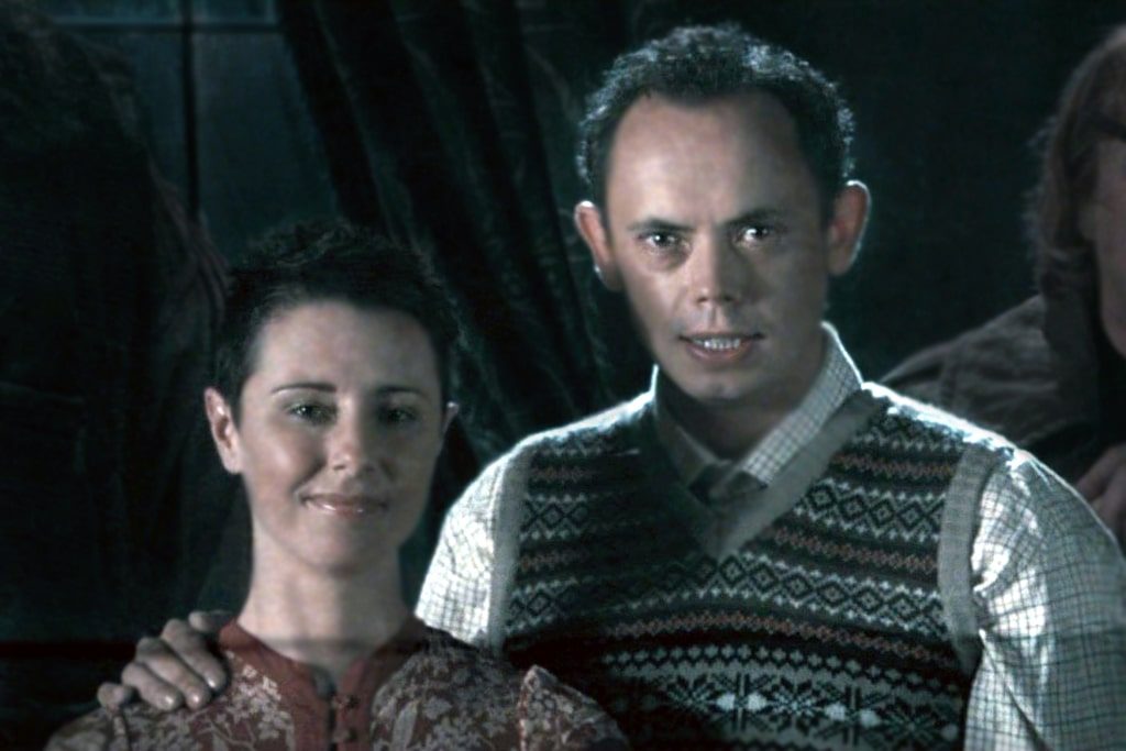 Книжкові відмінності Гаррі Поттера від фільмів