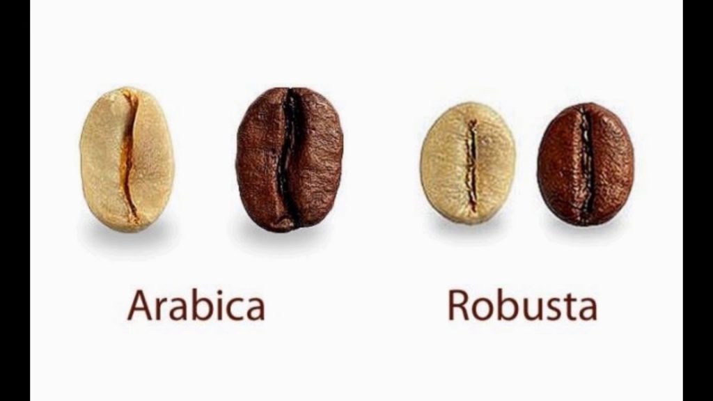 як вибрати каву в зернах