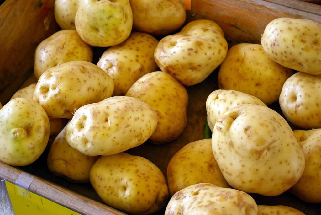 Як правильно садити картоплю